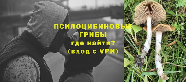 гидропоника Алексеевка