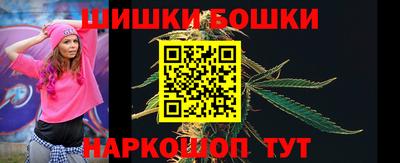 дмт Славгород