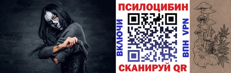 Псилоцибиновые грибы Psilocybe  Саянск 