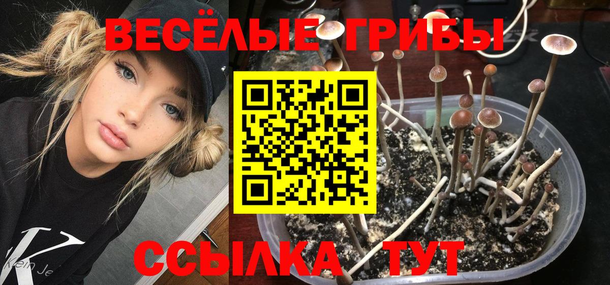 Саянск  наркота  Вход с VPN  Галлюциногенные грибы MAGIC MUSHROOMS 