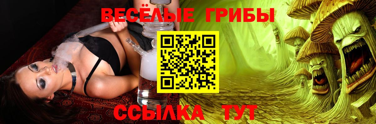 Галлюциногенные грибы мицелий Саянск